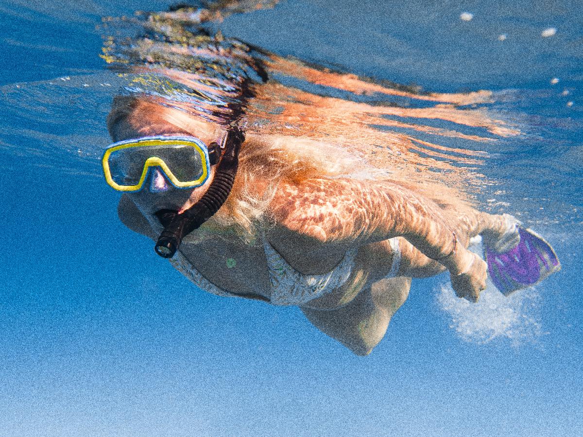 Best Snorkel Experiences in the Florida Keys