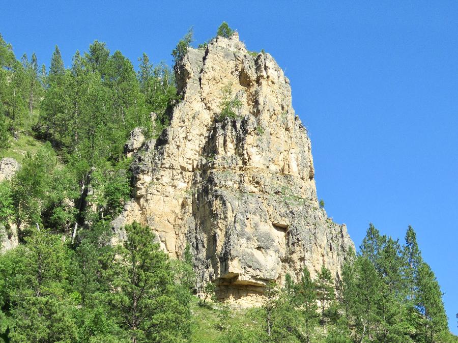 Limestone Cliffs, the Walls of the Canyon