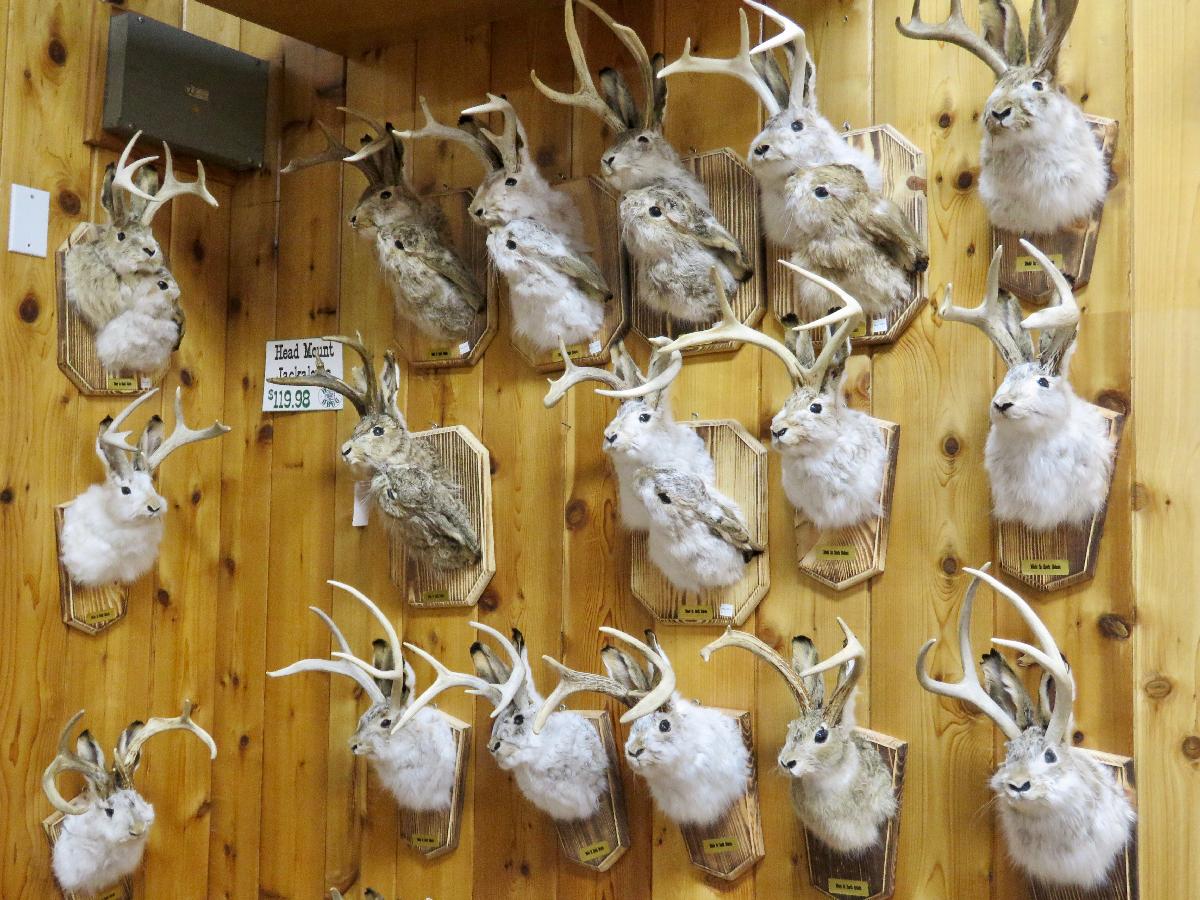 So Much to See, Do, Eat and Buy at Wall Drug Store