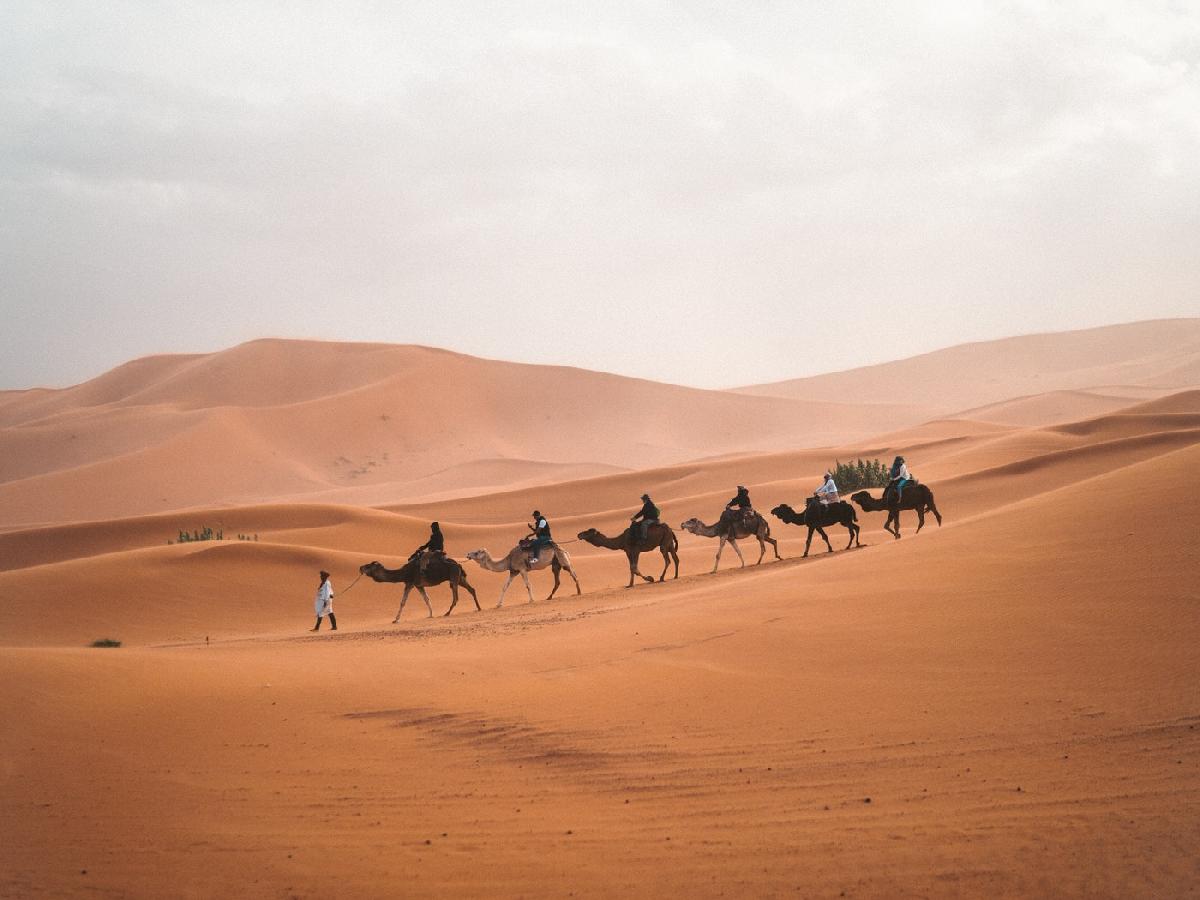 Explore the Beauty of Morocco