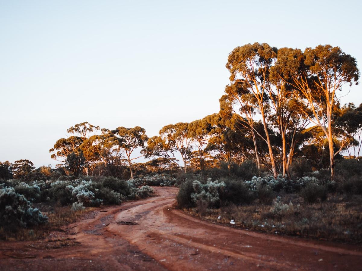 Exploring Australia's Outback with a Local