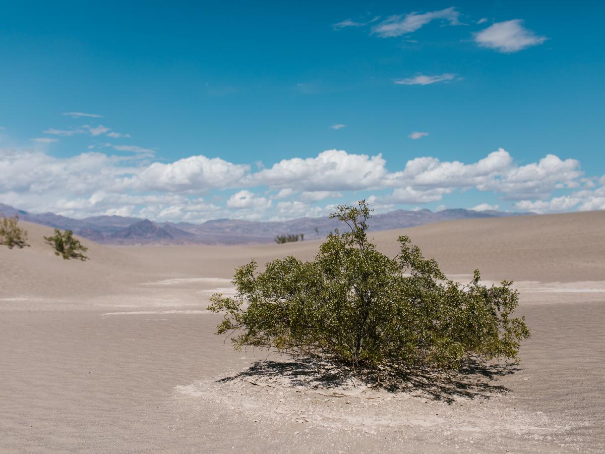 Imagining the Best Trip to the Death Valley