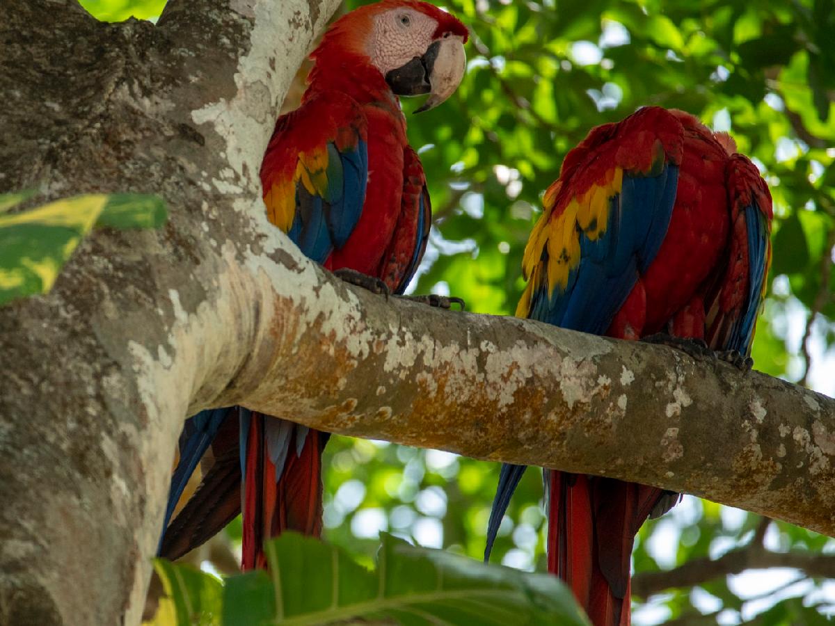 Costa Rica: Know Before You Go for First Time Visitors
