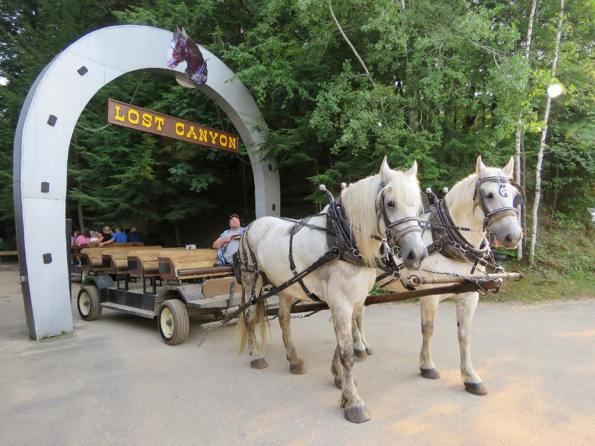 A Horse Drawn Carriage Ride Through Lost Canyon