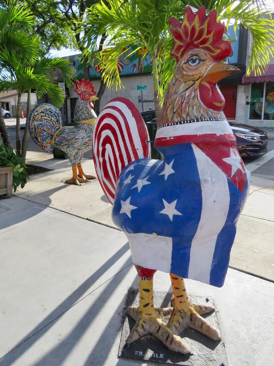 The Chickens on Calle Ocho