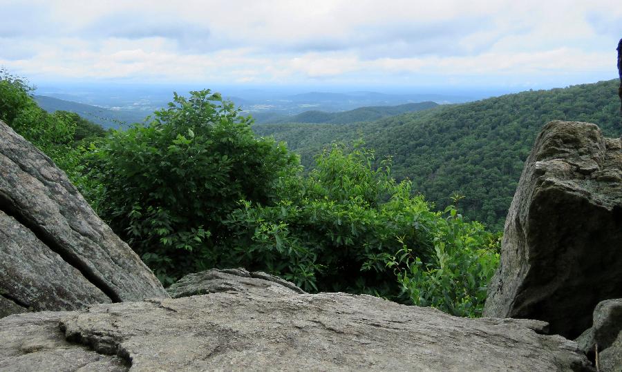 Skyline Drive Viewpoint in Shenandoah National Park