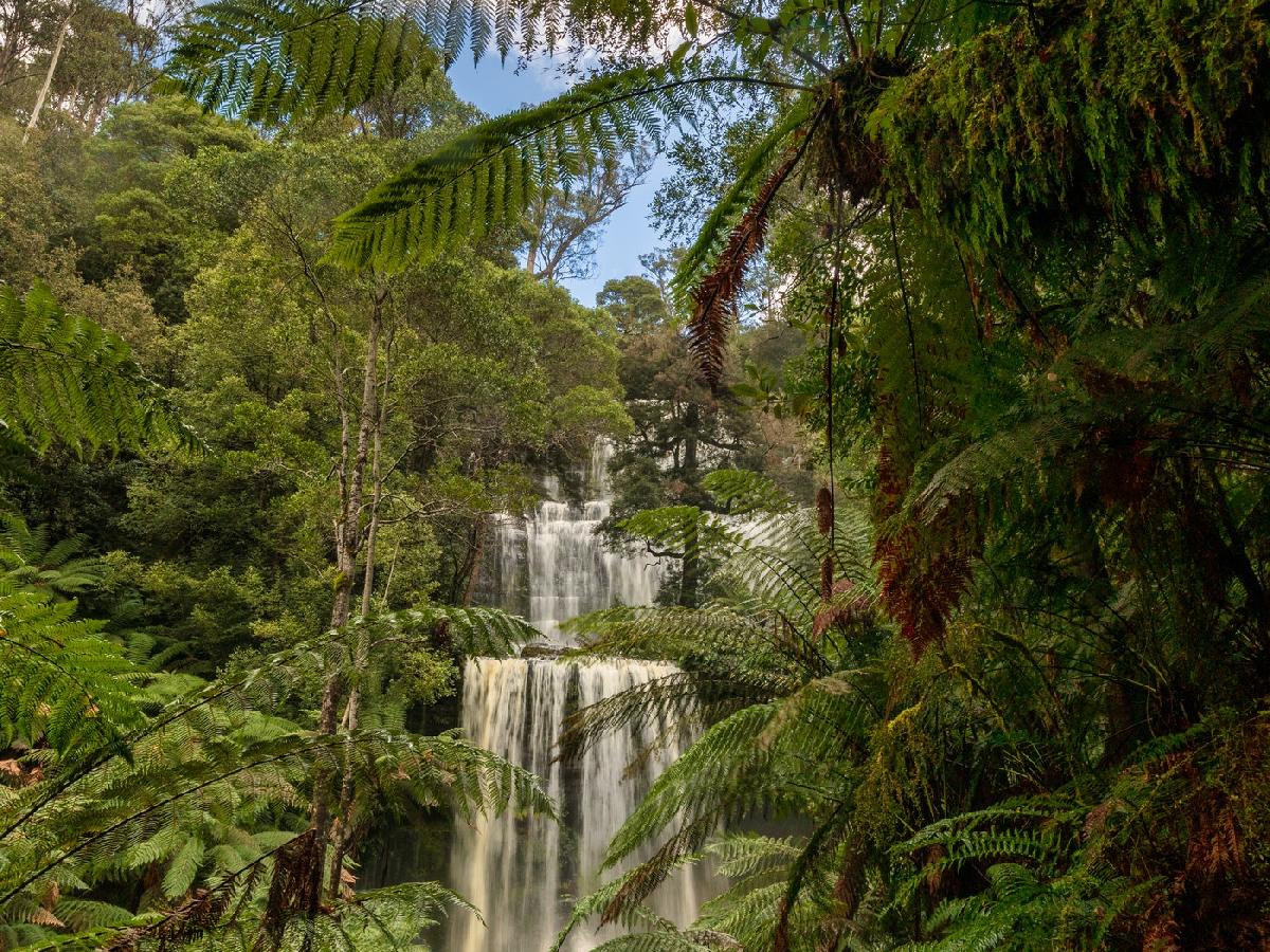 Explore Tasmania by Hiking National Parks