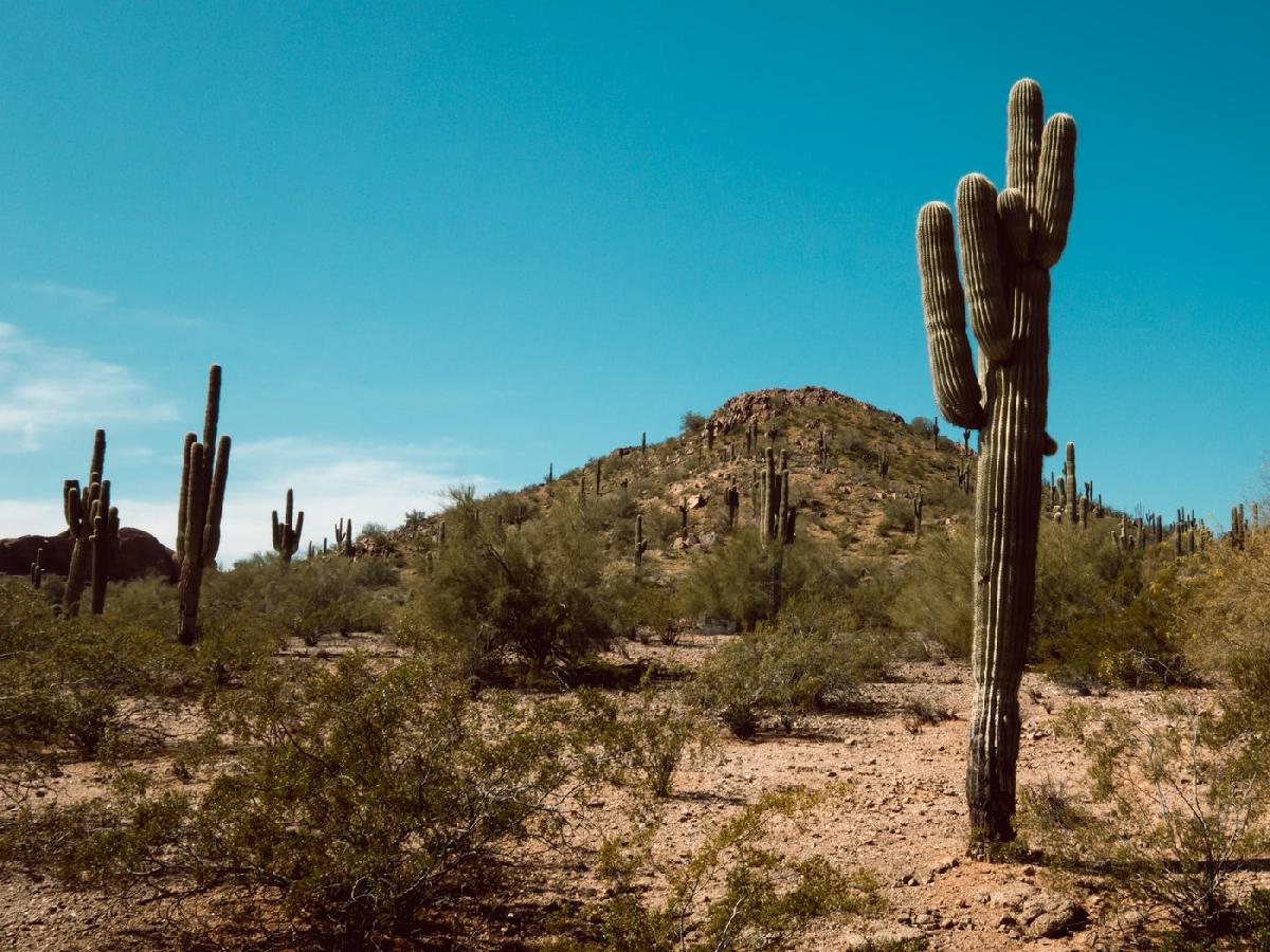 Exploring National Monuments in Arizona