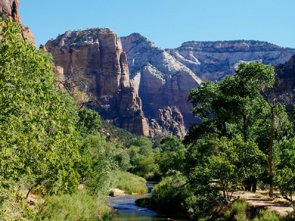 Explore Zion's Natural Beauty on 10 Easy Hikes