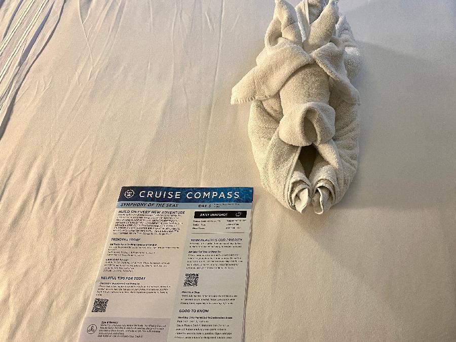A Towel Animal Guards our Cruise Compass 
