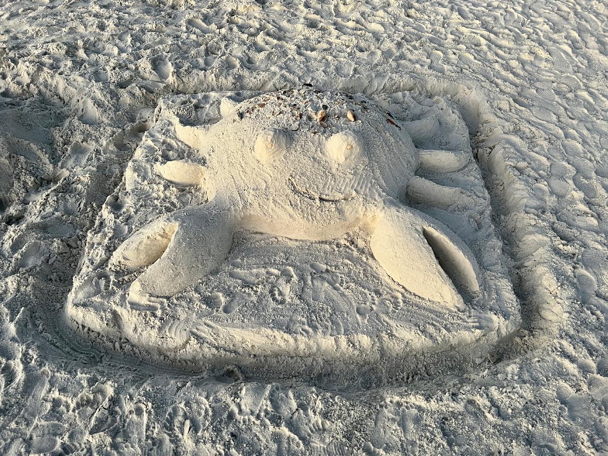 Sandy Sand Crab on the Emerald Coast