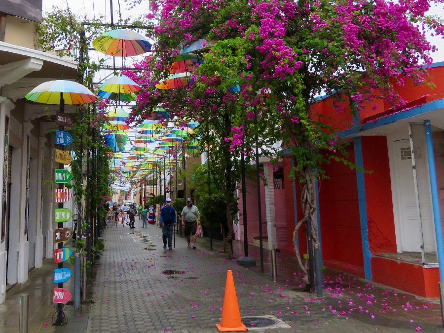 Calle San Felipe, aka "Umbrella Street"