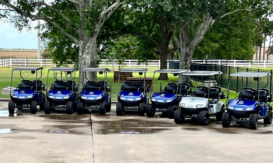 Just a Few of the Golf Carts Available for Rent