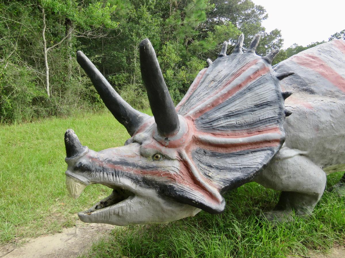 Look Out! There's a Triceratops near the Path!