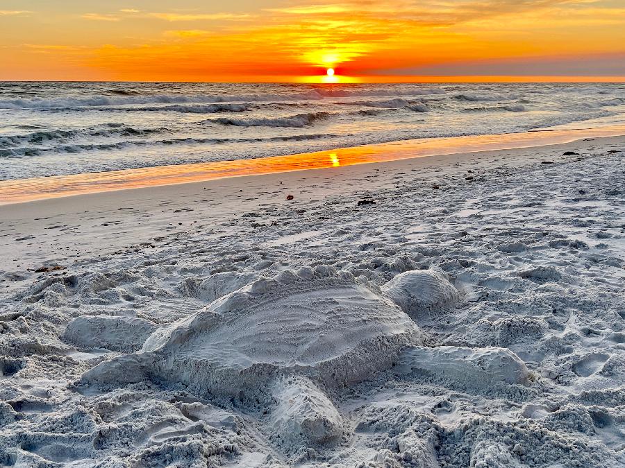 A Sand Turtle Relaxing on a White Sandy Beach at Sunset
