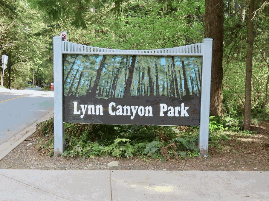 Become One with Nature at Lynn Canyon Park