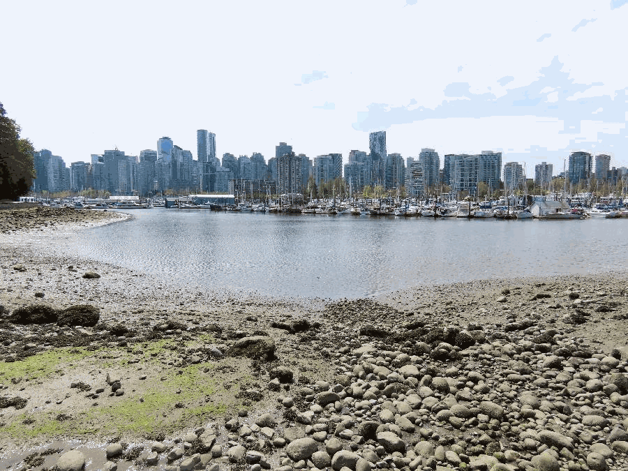 Escape Downtown's City Life in Vancouver's Stanley Park