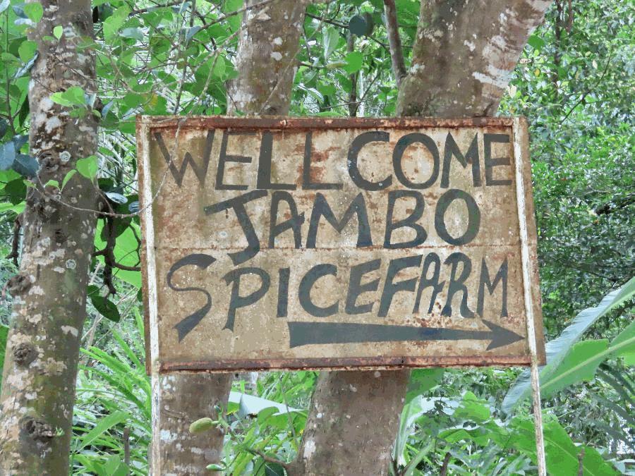 A Walk through Jambo Spice Farm