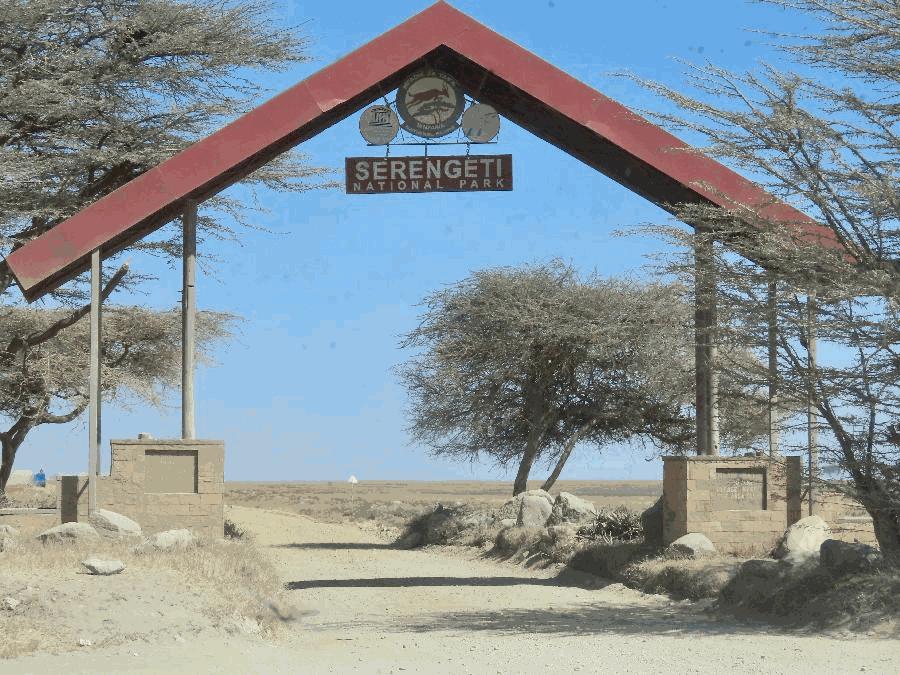 Entering Serengeti National Park ... Finally!