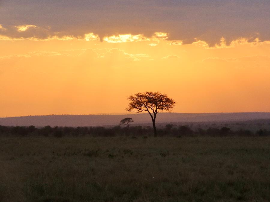 The Sun Sets on a Serengeti Safari