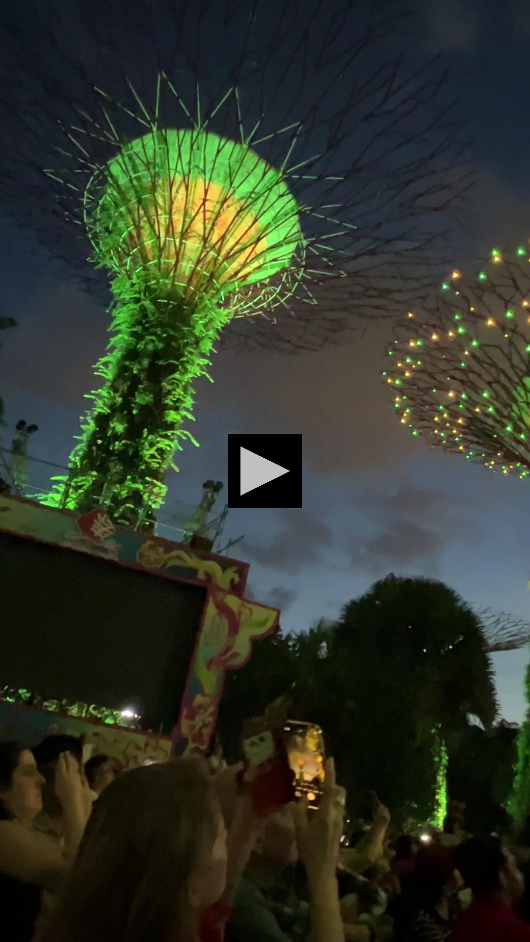 Dazzling Lights and Sounds at Gardens by the Bay