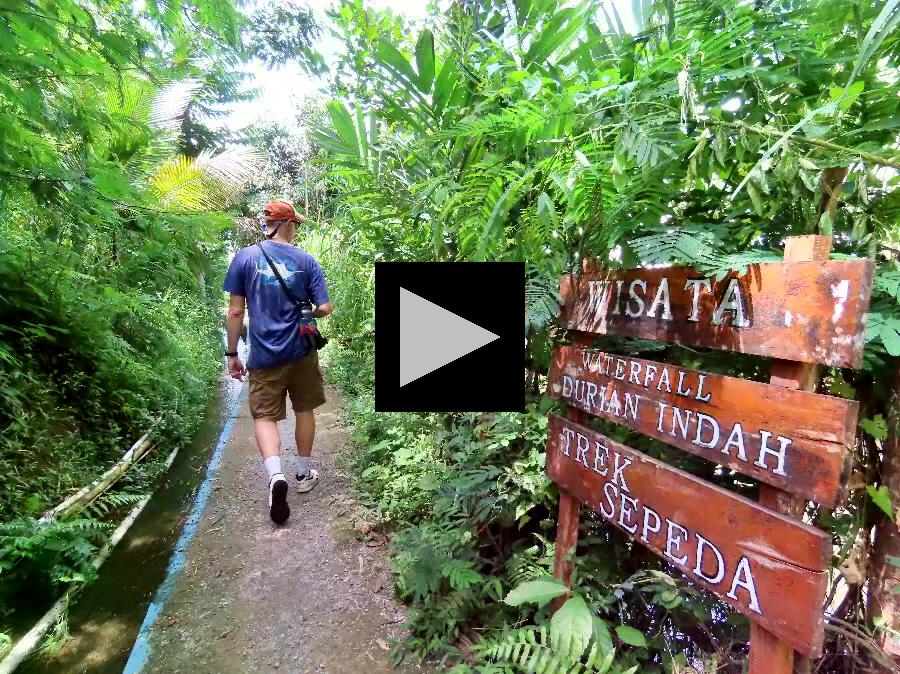 Hiking Through the Jungle to Durian Indah Waterfall 