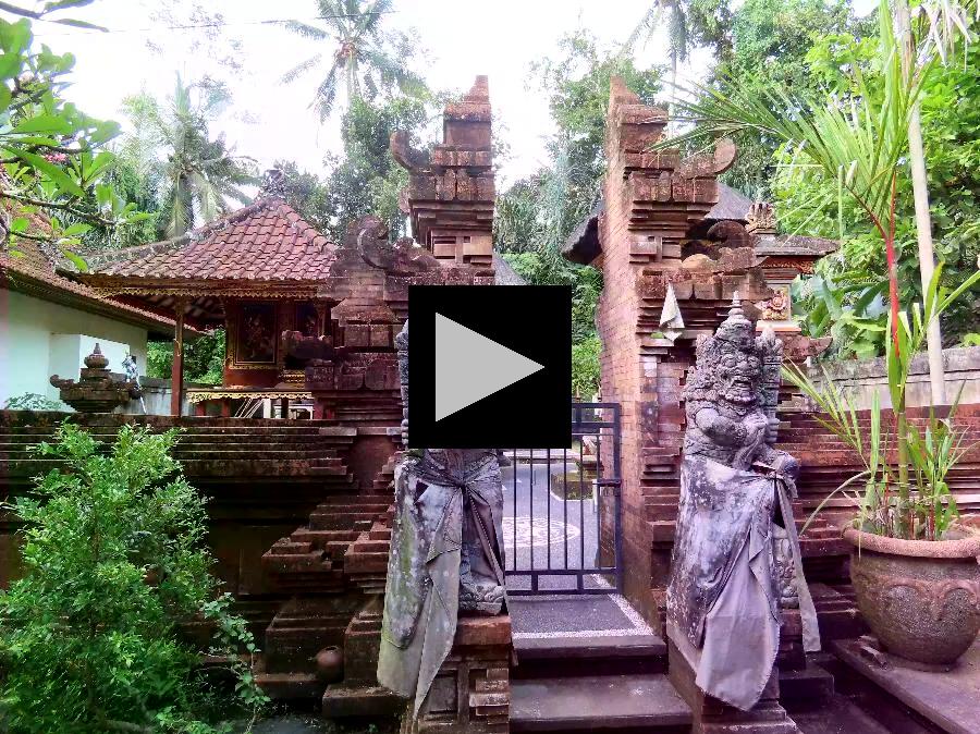 Wander Through a Traditional Balinese Village and Temple