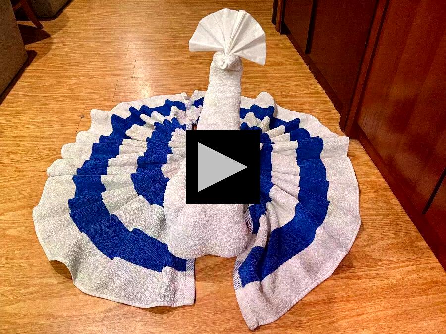 From Crocodile to Human: Very Creative Towel Animals!