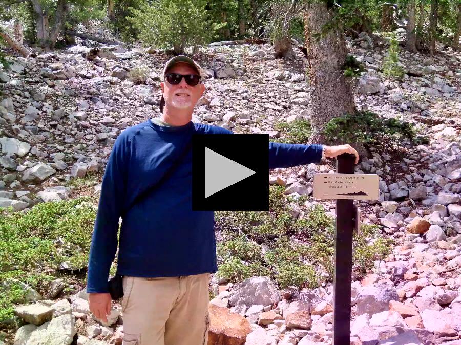 Perfect Hiking Break at Great Basin's Teresa Lake