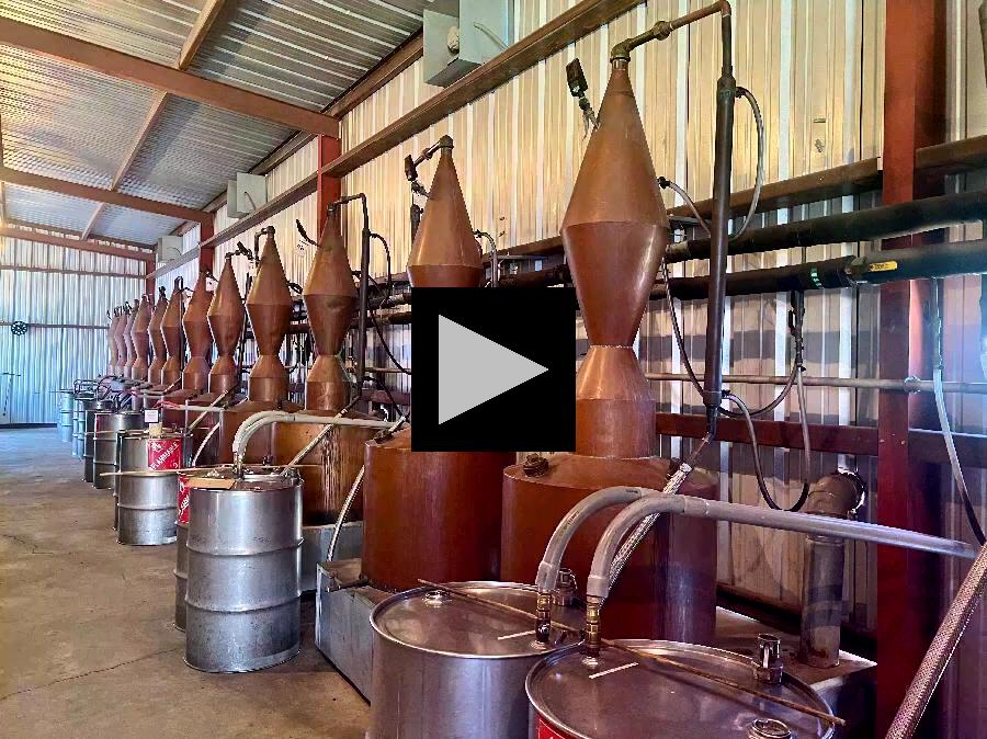 Exploring Dripping Springs Distilling with Spirit Guide