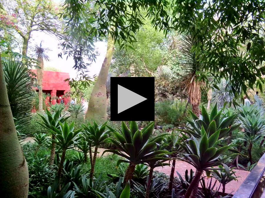 A Stroll through the Secret Garden in Marrakech 