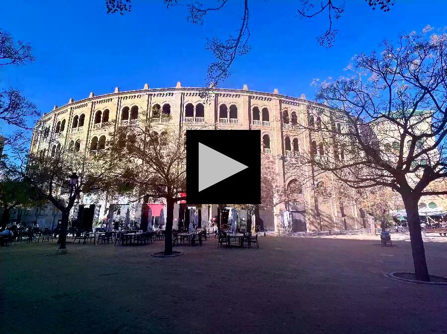 Tapas with a View of Granada's Plaza de Toros