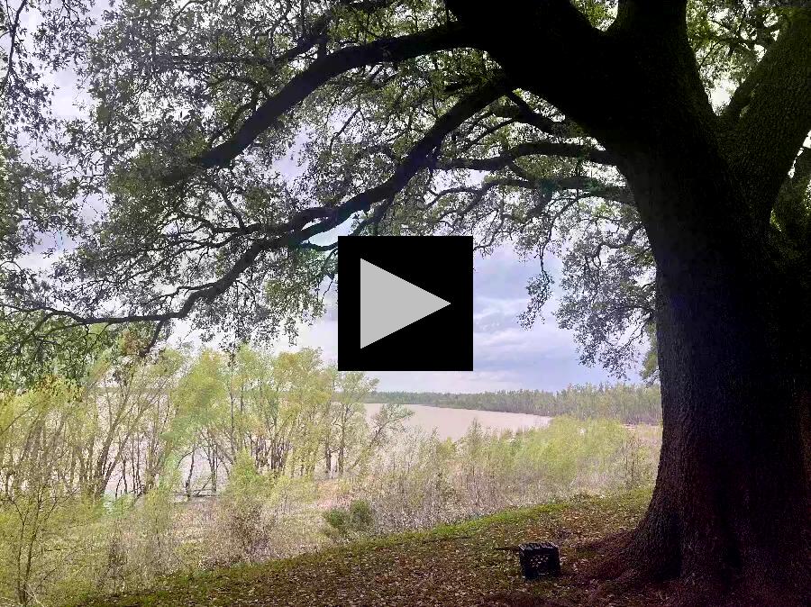 Scott's Bluff on Southern University Campus