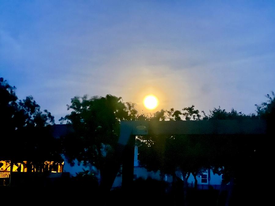 What Do You See Up in the Sky? A Full Moon, Of Course!