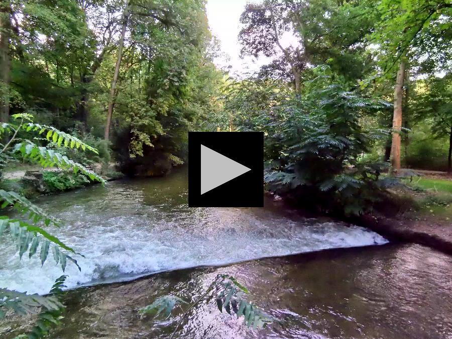 Wandering Along the Paths in Munich's English Garden