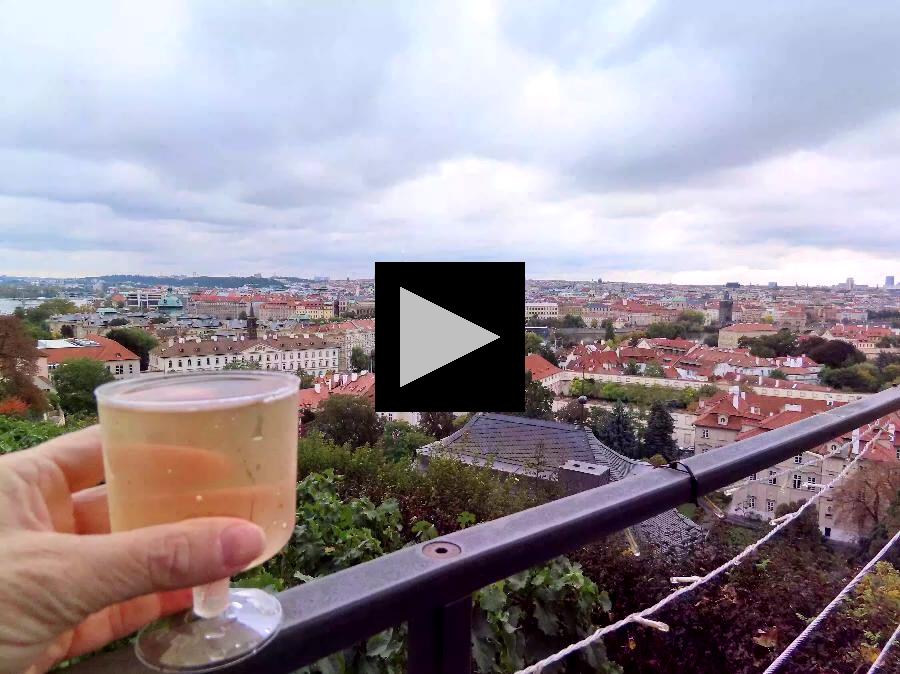 From Traditional to Trdelnik: Sampling Food in Prague