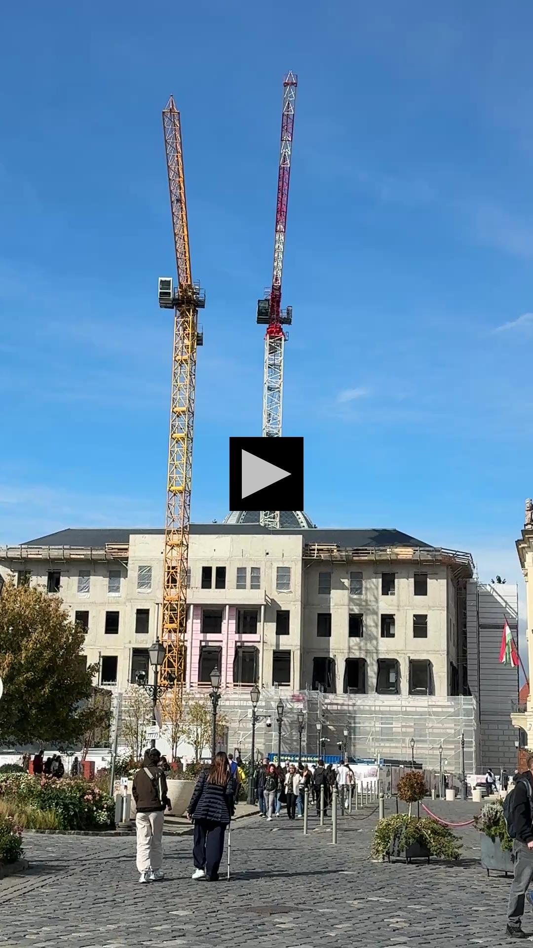 Here a Crane, There a Crane, Cranes Are Everywhere!