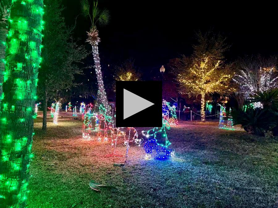 Holiday Light Display at Oaks by the Bay Park