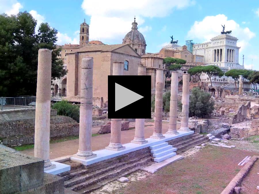 A Slow Stroll Through the Roman Forum Excavation Site