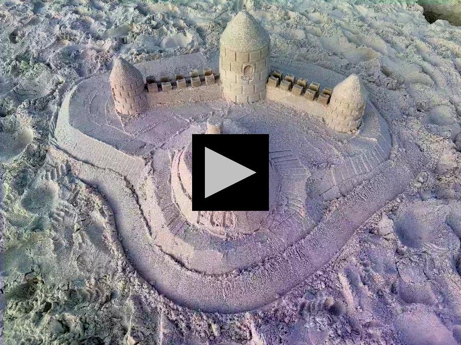 Castles and Sea Creatures All Crafted from Sand!