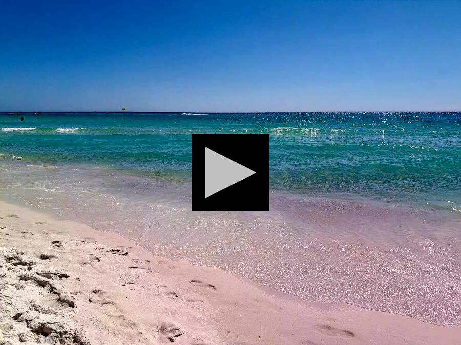 Spring Visit to Panama City Beach on Emerald Coast