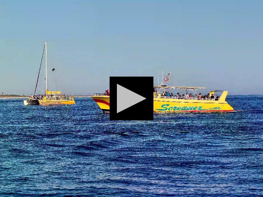 Enjoy the Setting Sun aboard a Sea Screamer Cruise