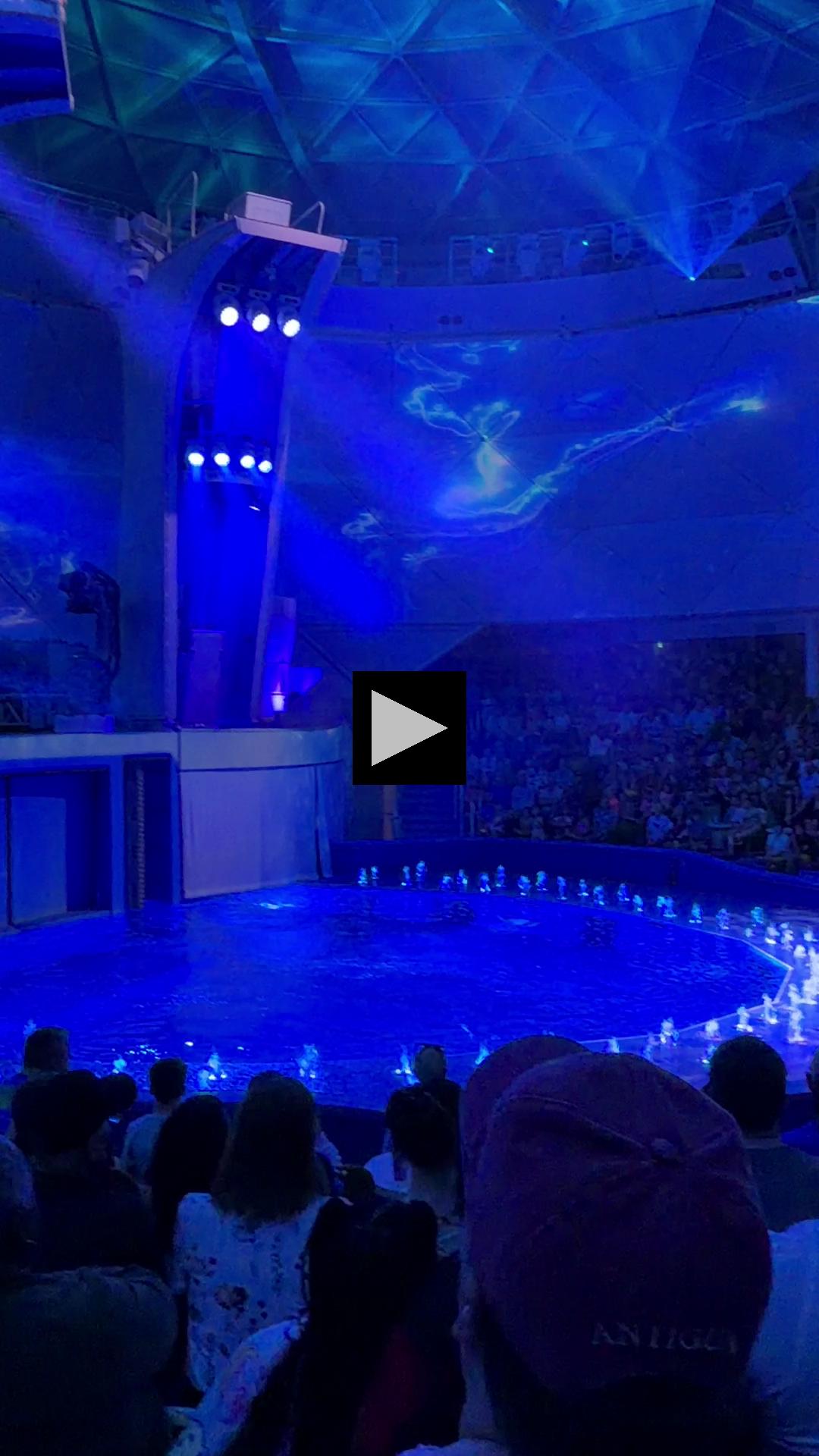 Sky High Dives in Star of the Seas AquaDome