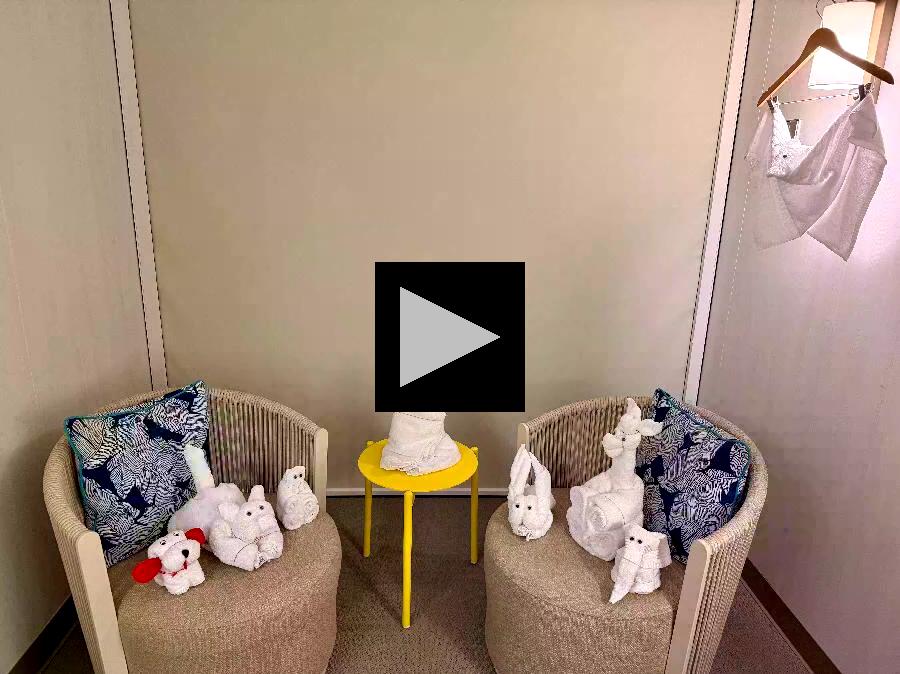 Talented Attendants Leave Towel Surprises in Cabins!