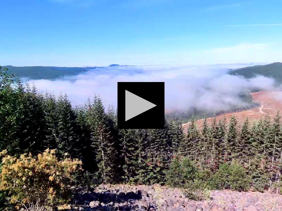 The Most Active US Volcano: Washington's Mount St. Helens
