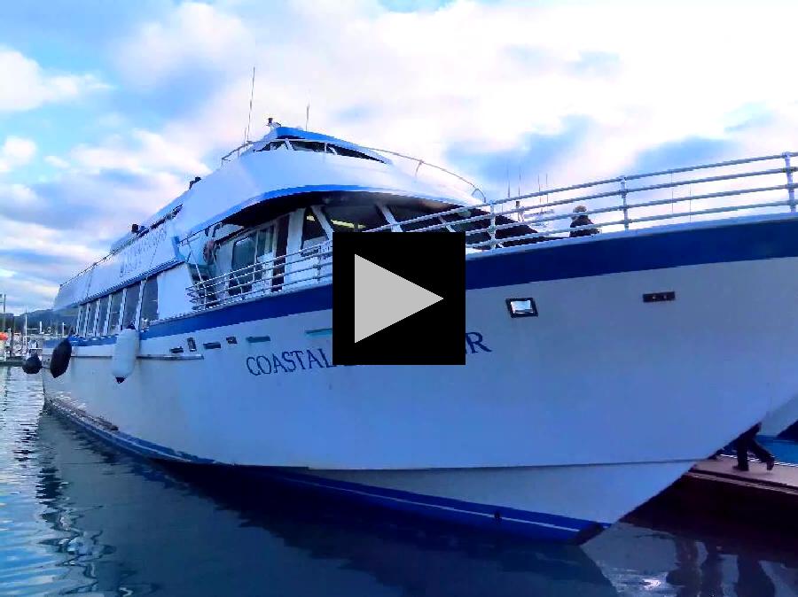 Meet the Glaciers and Wildlife of Kenai Fjords National Park