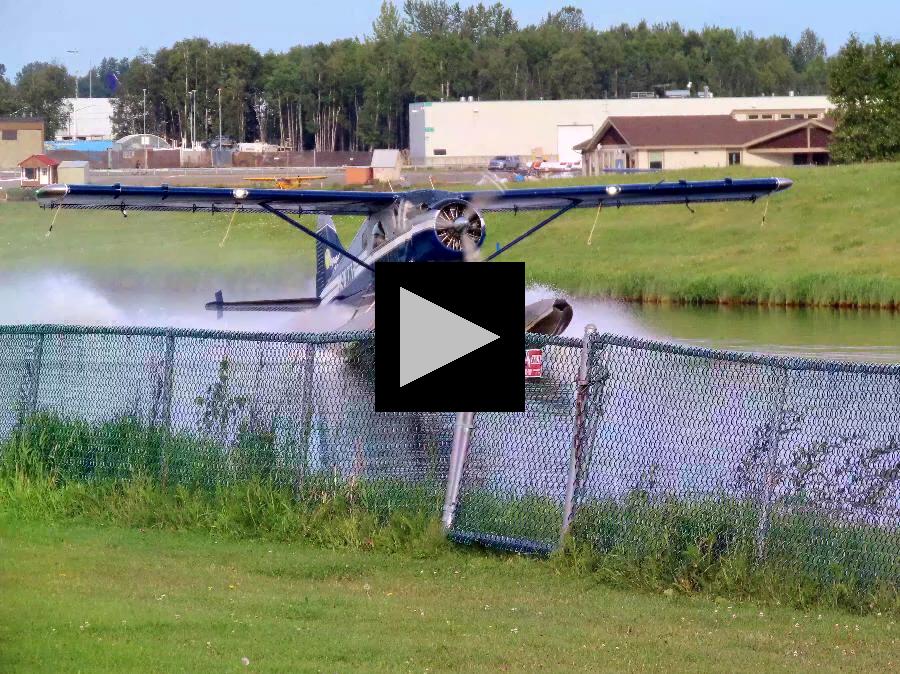 From Floatplanes to Wildlife: All in a Day in Anchorage 