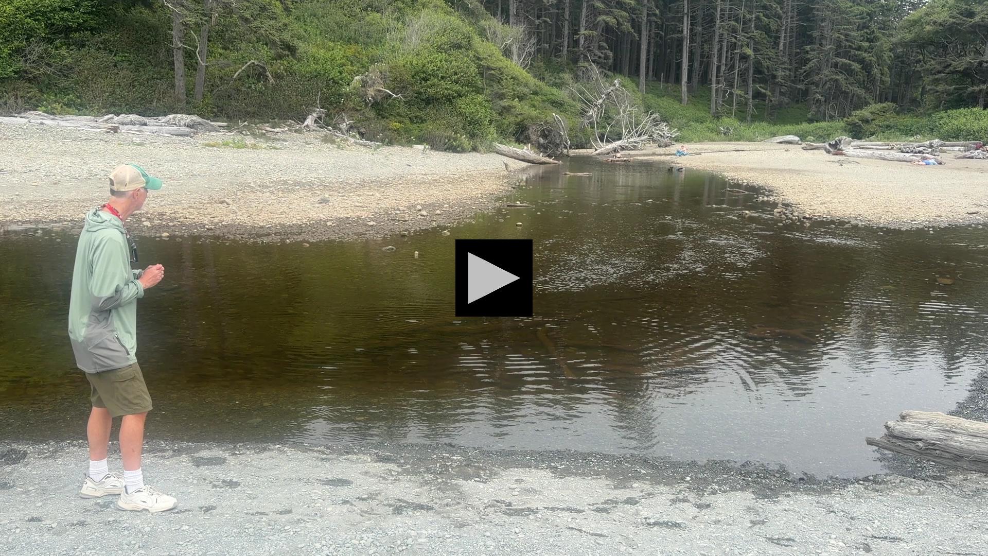 Skipping Rocks at Ruby Beach in Olympic National Park