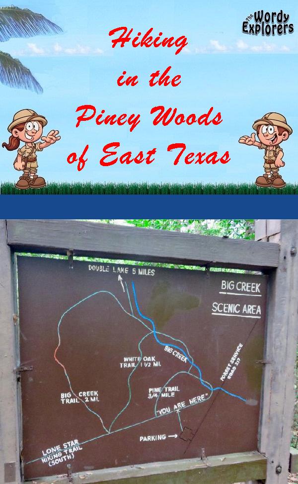 Hiking in the Piney Woods of East Texas