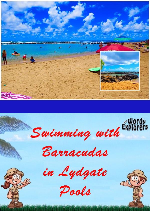 Swimming with Barracudas in Lydgate Pools